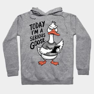Today I'm A Serious Goose Hoodie